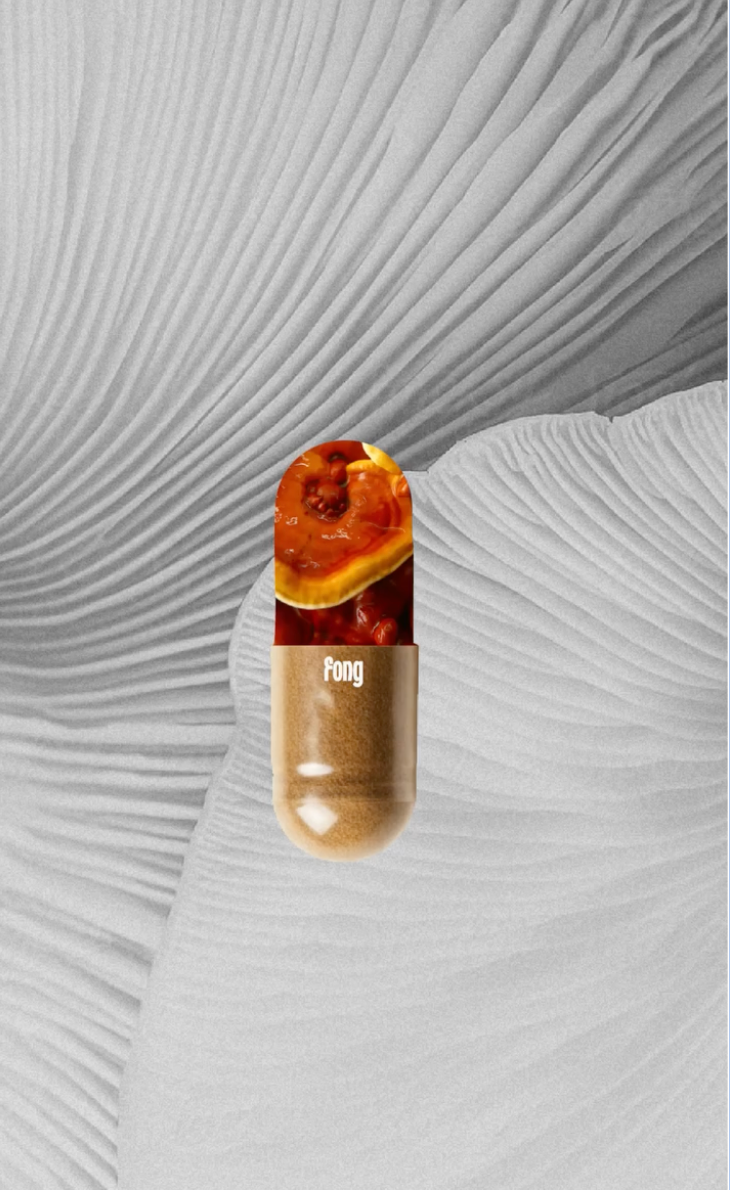 FONG ── SUPPLEMENTS